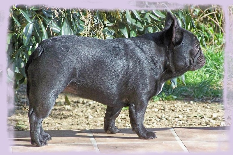 Céleste-philippine de sharp et boule de Nat