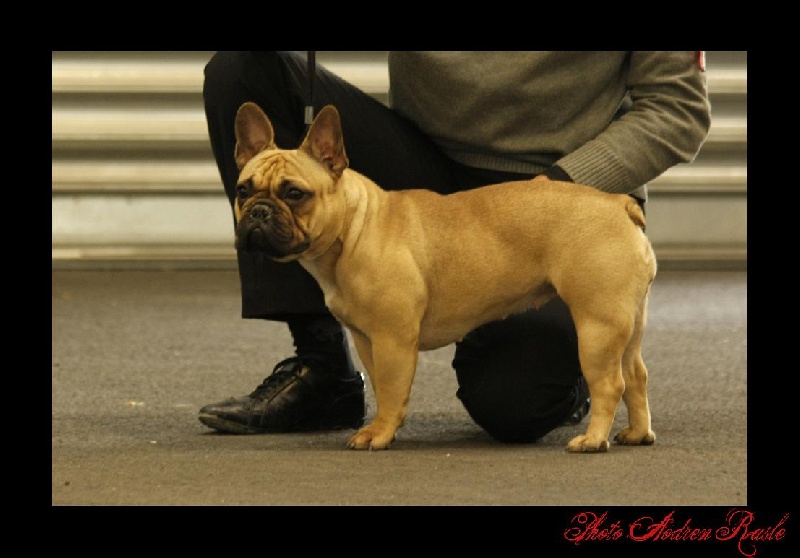 Dona Elena de sharp et boule de Nat